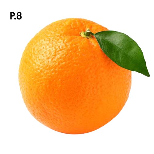 Přírodopis_motiv8.jpg Přírodopis_motiv8.jpg